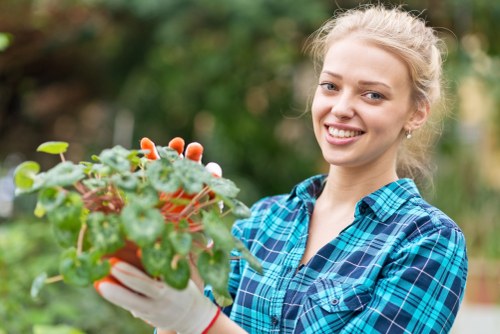 Seasonal hedge maintenance in Kentish Town