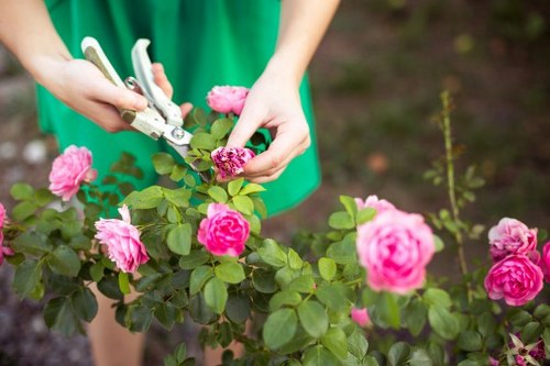 Payment security overview for local gardener
