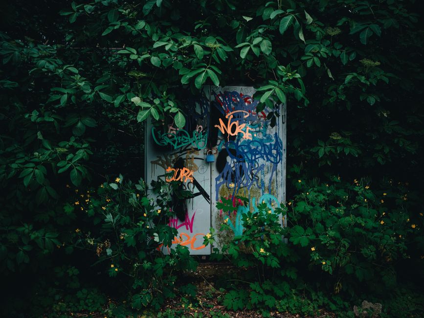 A small metal utility box covered in multicolored graffiti tags including orange, blue, pink, and black, is situated amidst dense green foliage in a garden setting. Surrounding the box are variegated