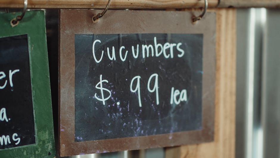 Close-up of a black chalkboard sign with a wooden frame, displaying the handwritten text 'Cucumbers $ 99 lea' in white chalk. The sign is hanging from a metal hook and is part of a market or garden st